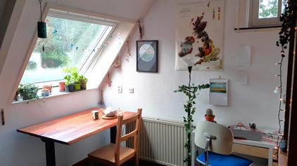 Room for rent 565 euro Krakelingweg, Zeist