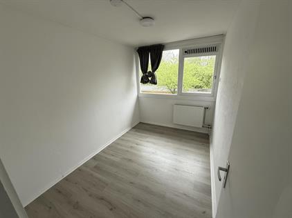 Room for rent 456 euro Hoitingeslag, Emmen