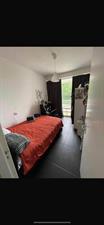 Room for rent 1000 euro Eastonstraat, Amsterdam