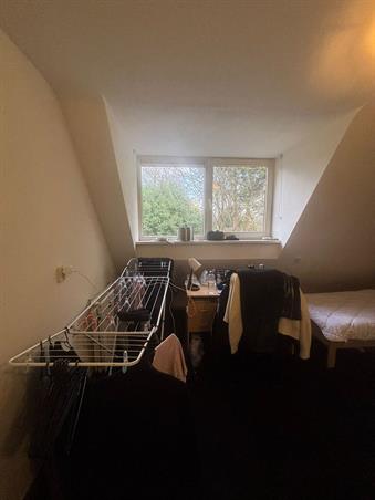 Kamer in Eindhoven, Oude Doornakkersweg op Kamernet.nl: Furnished room available in international house