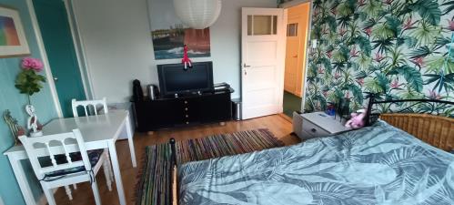 Room for rent 600 euro Singel, Vlissingen