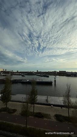 Zimmer bei Maashaven N.z. In Rotterdam