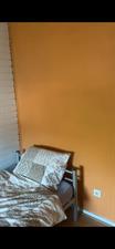 Room for rent 250 euro Zandbergstraat, Roermond