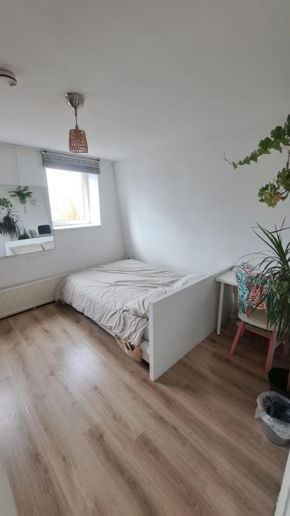 Room for rent 1100 euro Utrechtsestraat, Amsterdam