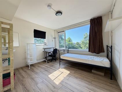 Room for rent 500 euro Marsstraat, Groningen