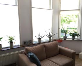 Room for rent 642 euro Voorzorgstraat, Haarlem