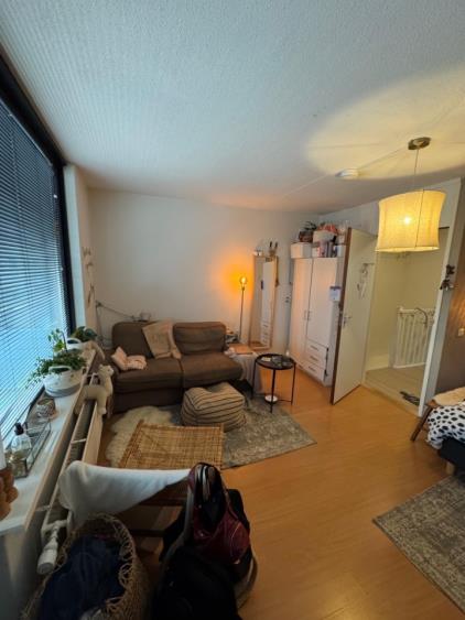 Room for rent 390 euro Wilhelmina Druckerstraat, Apeldoorn