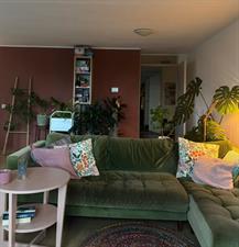 Room for rent 700 euro Maertensplein, Maartensdijk