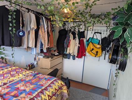 Room for rent 295 euro Briljantstraat, Groningen
