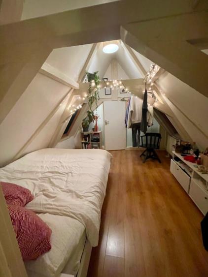 Kamer te huur 850 euro Geldersekade, Amsterdam