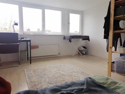 Room for rent 395 euro Bontekoestraat, Arnhem