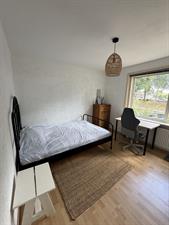 Room for rent 600 euro Reigerstraat, Dordrecht