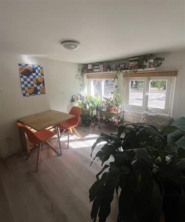 Wohnung bei Tulpstraat In Utrecht