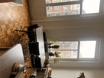 Kamer te huur 1350 euro Sarphatistraat, Amsterdam