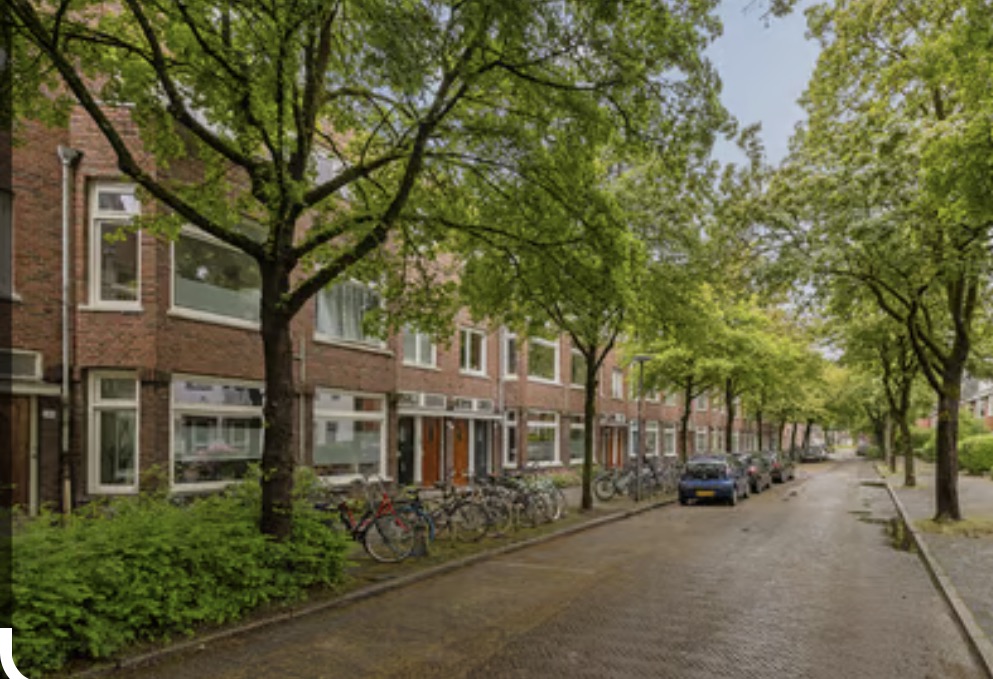 Professor Rankestraat