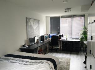 Appartement te huur 340 euro Lodewijk Napoleonplein, Eindhoven