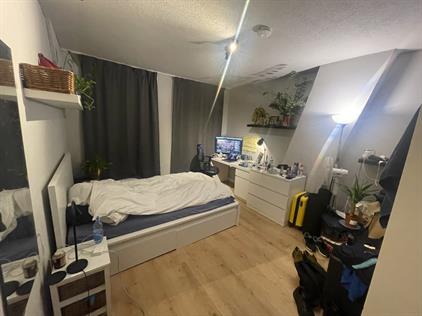 Room for rent 825 euro Hugo de Grootstraat, Delft