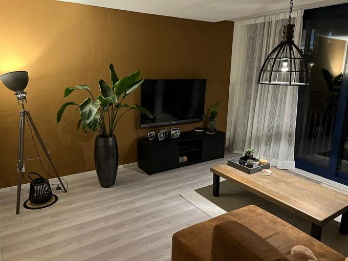 Zimmer bei Millinxstraat In Rotterdam