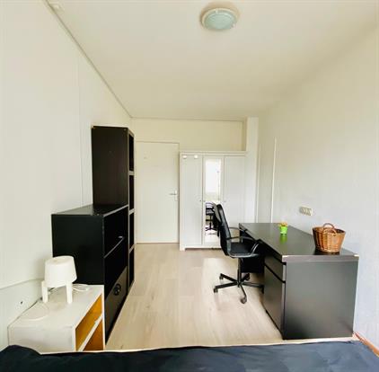 Room for rent 798 euro Gouden Leeuw, Amsterdam