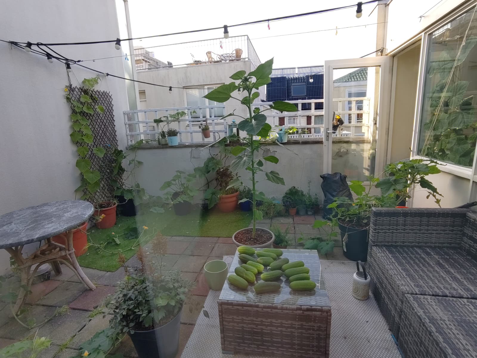 Kamer aan Spijkermakersstraat, Den Haag 6