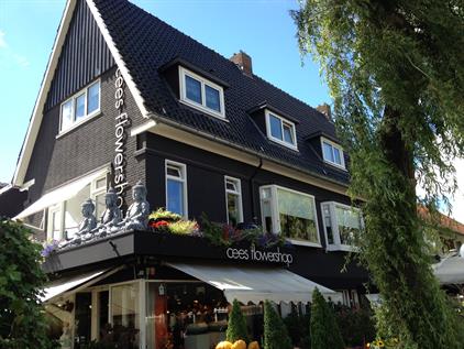 Room for rent 650 euro Goudenregenstraat, Leeuwarden
