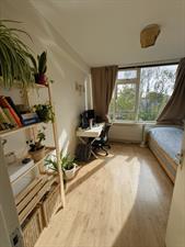 Kamer te huur 630 euro Van Almondestraat, Delft