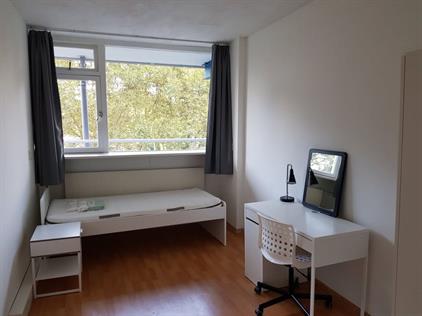 Room for rent 570 euro Menno ter Braaklaan, Delft