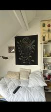 Room for rent 411 euro Sportstraat, Wageningen