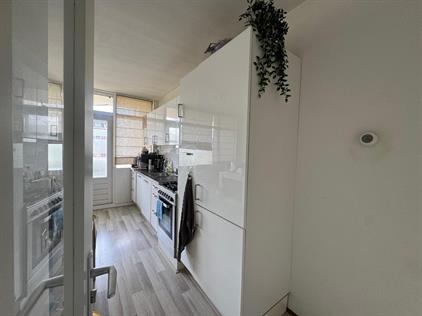 Room for rent 1290 euro Raephorststraat, Rotterdam