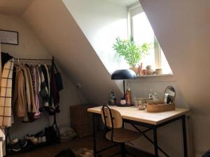 Room for rent 550 euro Salomonsteeg, Leiden