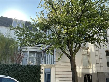 Room for rent 750 euro Balistraat, Den Haag