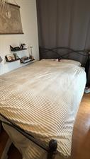 Room for rent 550 euro Generaal Coenderslaan, Eindhoven