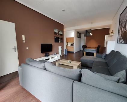 Room for rent 650 euro Egelstraat, Eindhoven