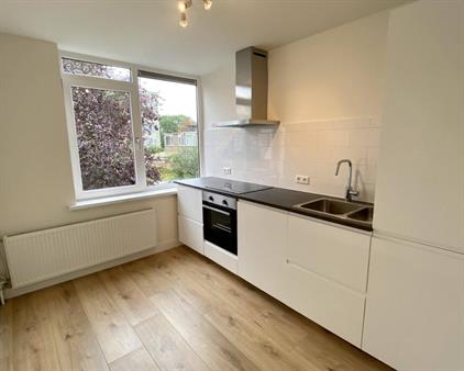 Apartment for rent 1650 euro Adenauerlaan, Utrecht