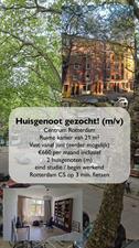 Room for rent 660 euro Graaf Florisstraat, Rotterdam