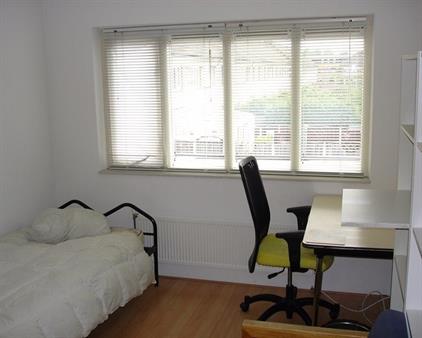 Room for rent 550 euro Forsythiastraat, Lisserbroek