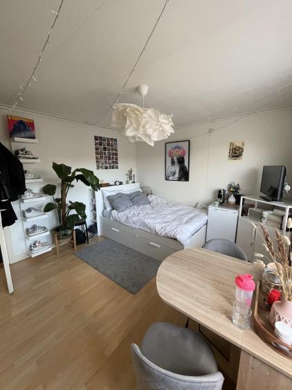 Kamer te huur 542 euro Van Panhuysstraat, Groningen