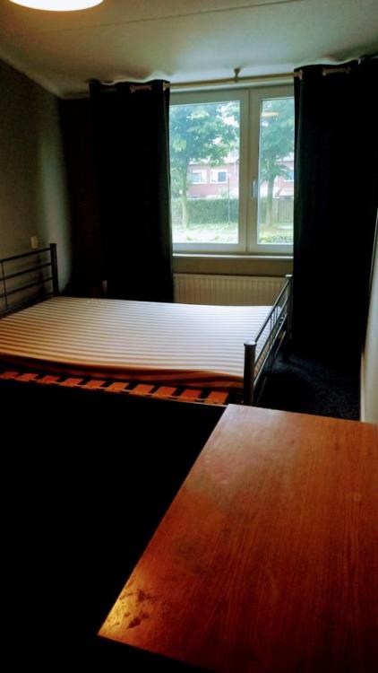 Room for rent 980 euro Klarinetstraat, Venray