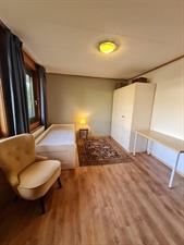 Kamer te huur 600 euro Pimpernel, Dronten