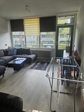 Apartment for rent 450 euro Groenhoek, Driebergen-Rijsenburg