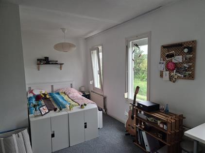 Room for rent 567 euro Willem Dreeslaan, Delft