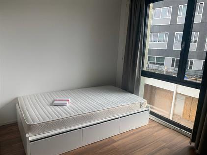 Studio for rent 500 euro Burgemeester Oudlaan, Rotterdam