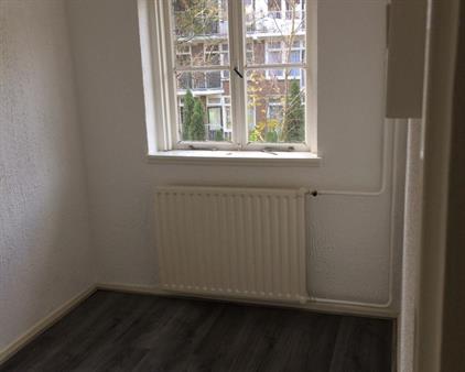 Zimmer zu vermieten 5 Euro Tapuitstraat, Rotterdam