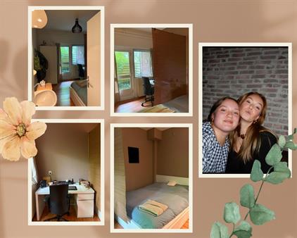 Kamer te huur 315 euro Wollegaast, Leeuwarden