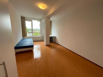 Kamer te huur 489 euro Stadsbrink, Wageningen