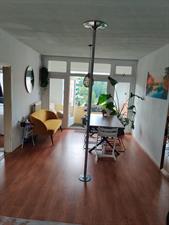 Apartment for rent 2250 euro Theodorus Dobbestraat, Amsterdam