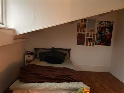 Room for rent 800 euro Westvlietweg, Den Haag