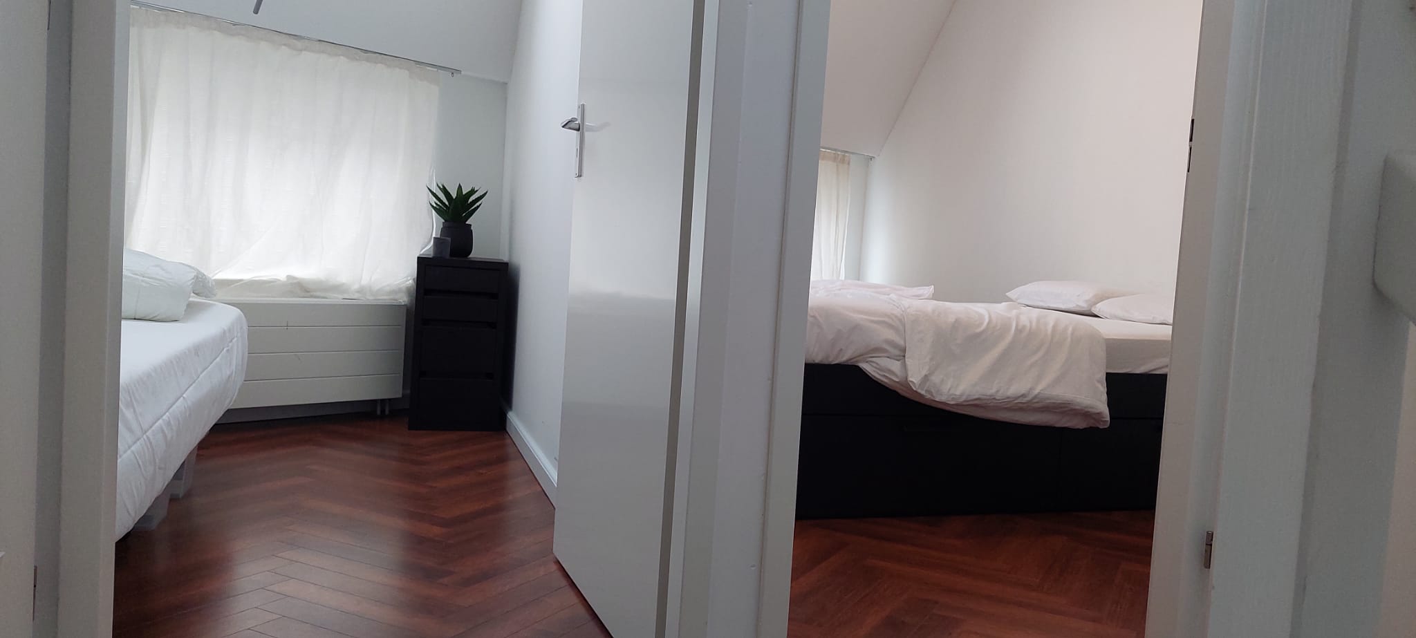 free-sector-houses for rent on Parallelweg