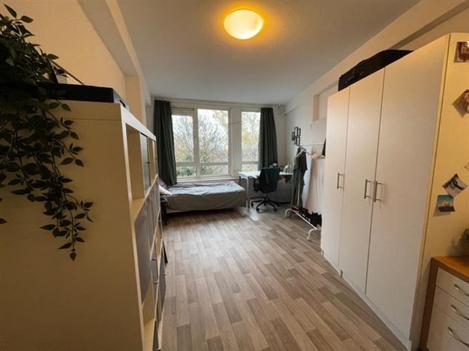 Zimmer bei Stadsbrink In Wageningen
