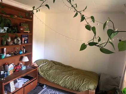 Room for rent 530 euro Wilhelminastraat, Vlijmen